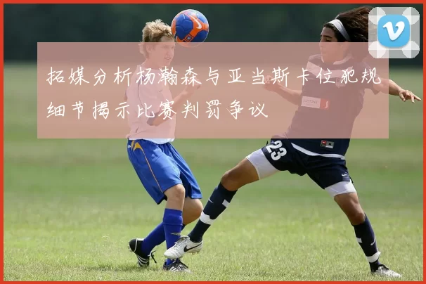 拓媒分析杨瀚森与亚当斯卡位犯规细节揭示比赛判罚争议