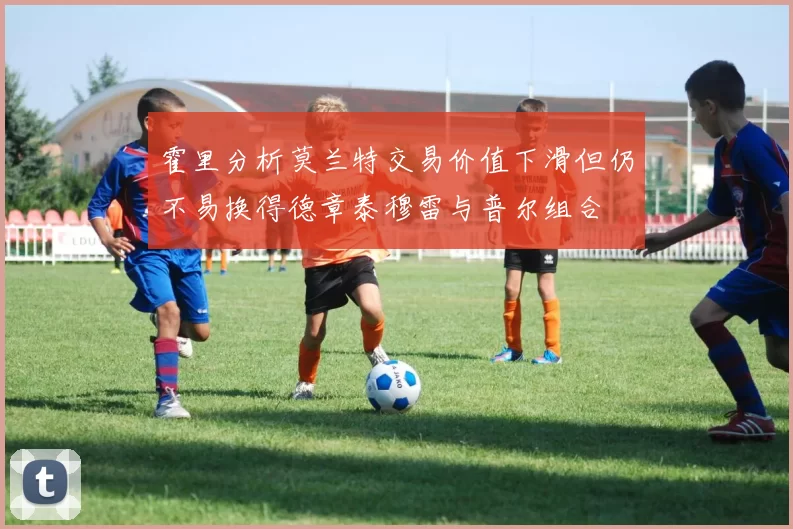 霍里分析莫兰特交易价值下滑但仍不易换得德章泰穆雷与普尔组合