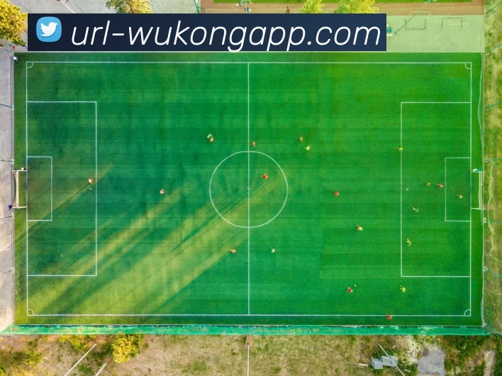 悟空体育APP 封面图